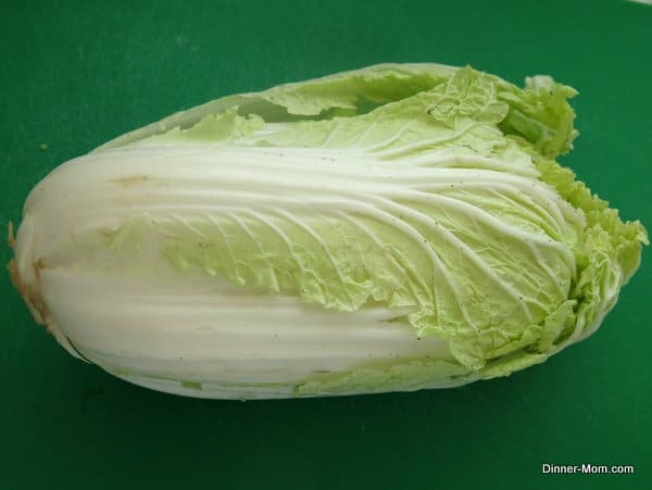 head of Chinese Napa Cabbage