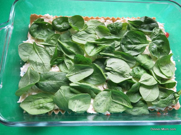 Spinach Layer