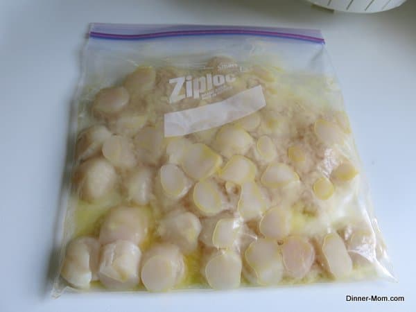 Sea scallops coated in butter and olive oil in a plastic bag