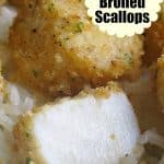 Perfectly Broiled Scallops Pin