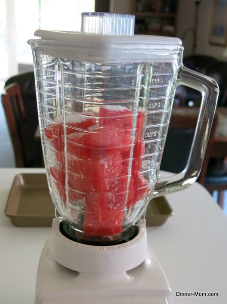 watermelon granita ingredients in blender