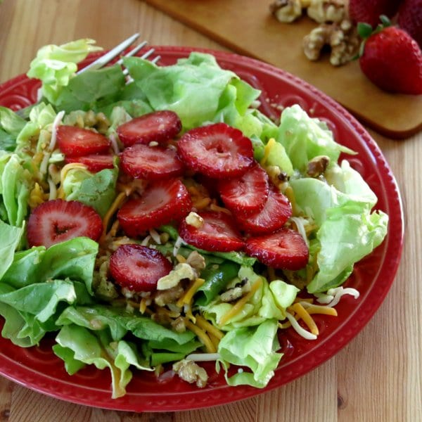 Red Wine Vinaigrette Dressing over Salad Greens on plate