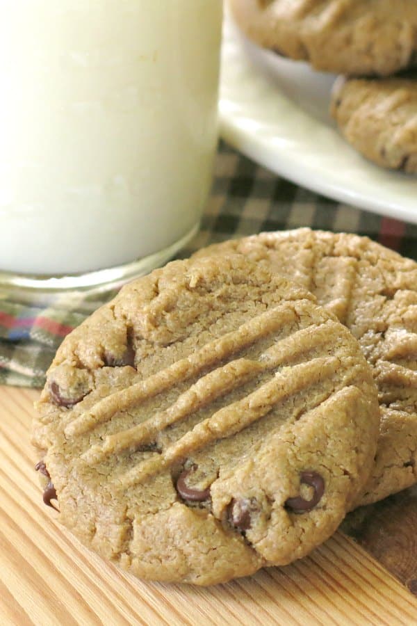 2 Sunflower Seed Butter Cookies next to a glass of milk