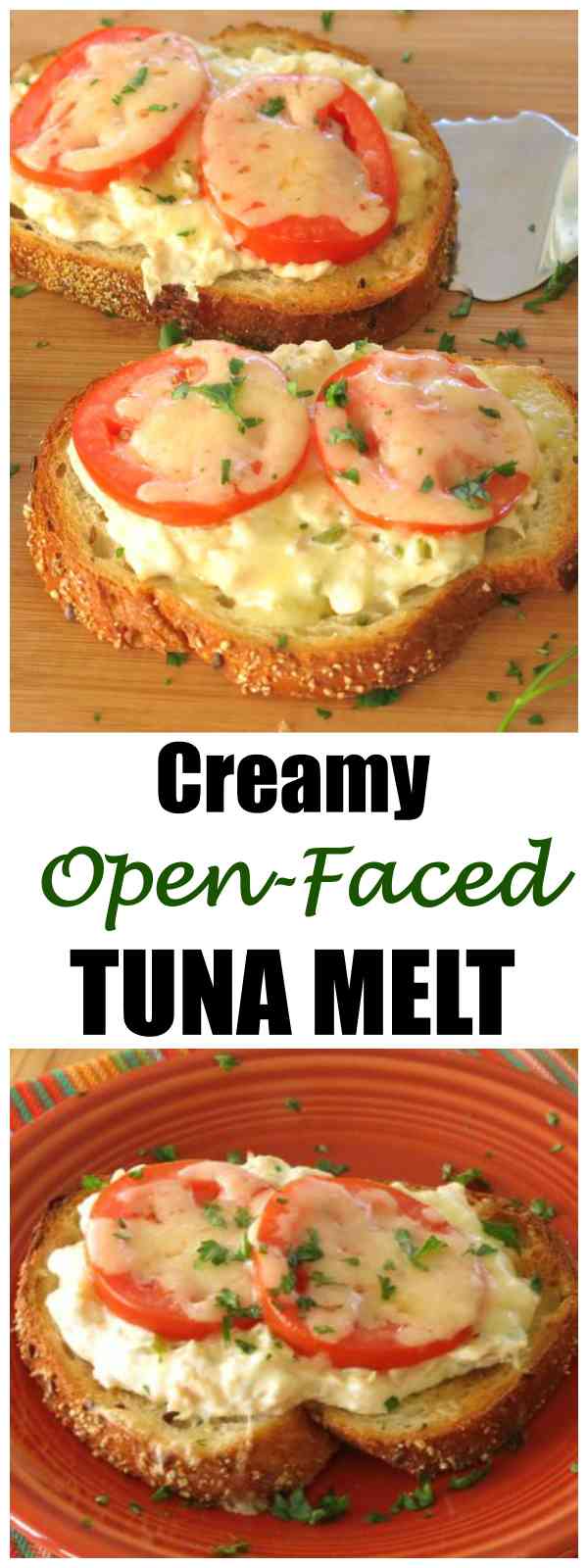 Creamy OpenFaced Tuna Melt Sandwich The DinnerMom