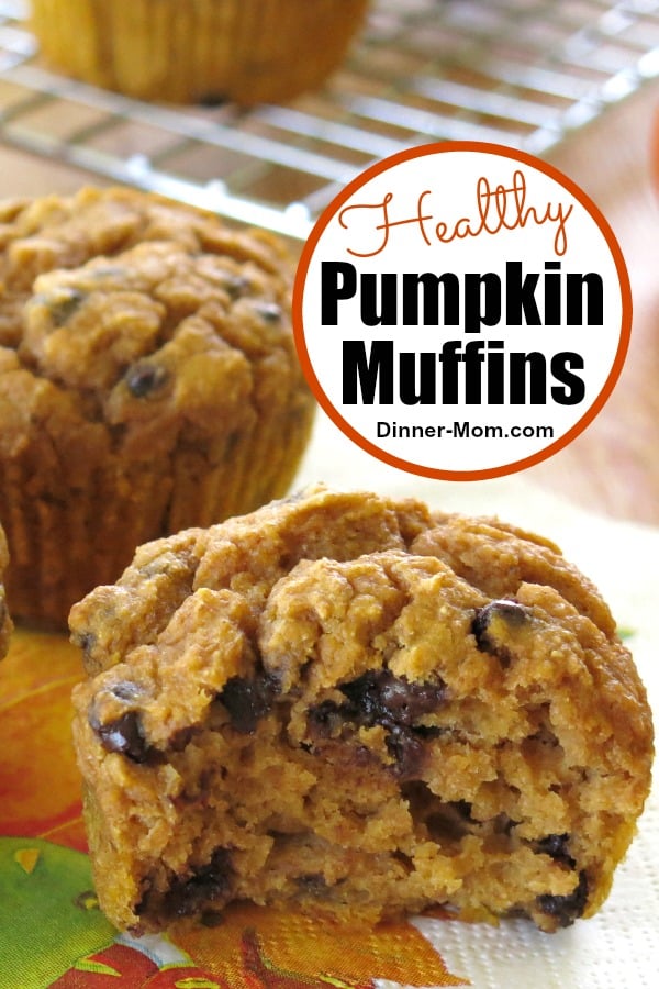 Healthy Pumpkins Muffins with chocolate chips get the seal of approval because they're made with whole wheat flour and Greek yogurt too! #healthypumpkinmuffins #muffins
