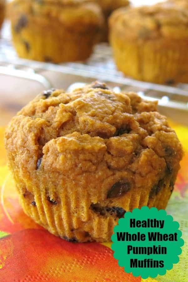 Healthy Pumpkins Muffins made with whole wheat flour, Greek yogurt and chocolate chips. #pumpkinmuffins