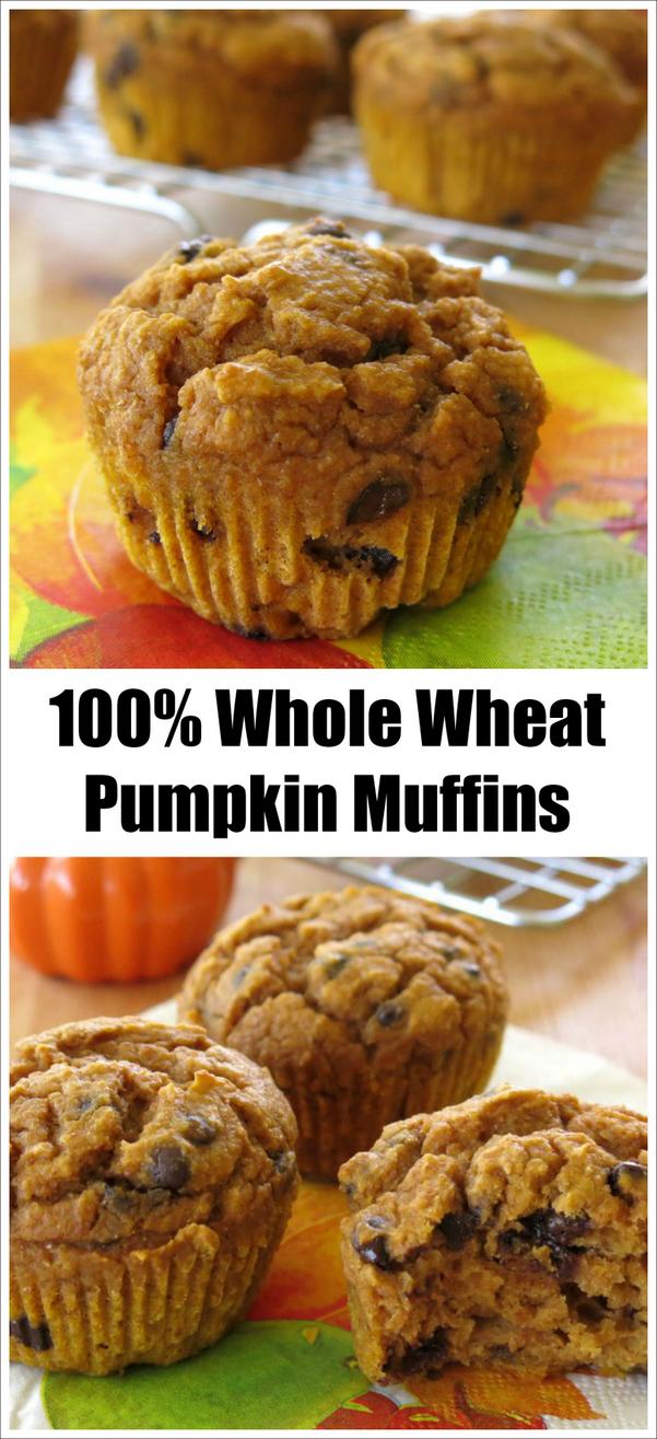 Whole Wheat Pumpkin Muffins with Chocolate Chips - The Dinner-Mom