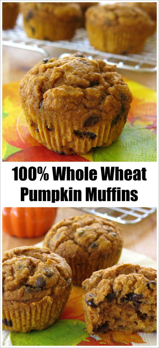 Whole Wheat Pumpkin Muffins with Chocolate Chips The DinnerMom