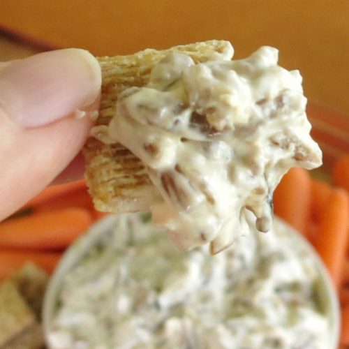 Caramelized Onion Dip with Greek Yogurt The DinnerMom