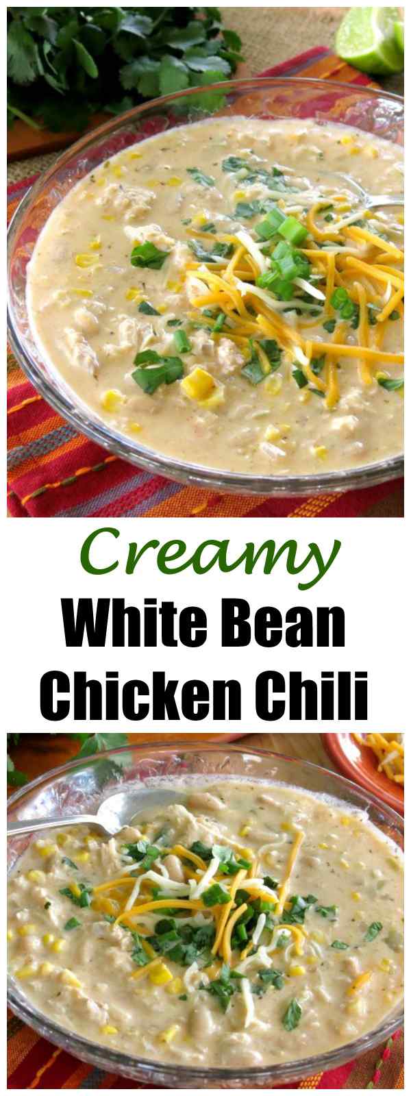 Creamy White Bean Chicken Chili - The Dinner-Mom