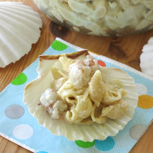 Fancy Gourmet Mac and Cheese with Shrimp on a clam shell