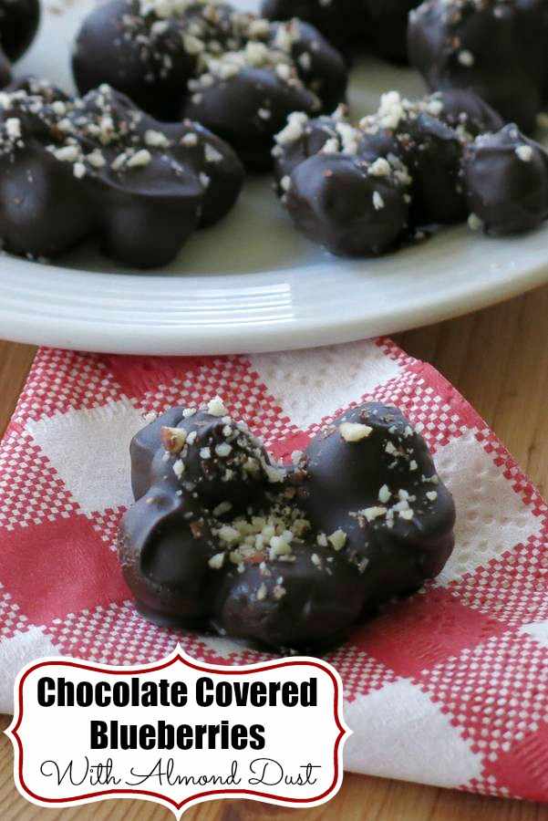 Dark Chocolate Covered Real Blueberries Dark Chocolate Covered Real Blueberries