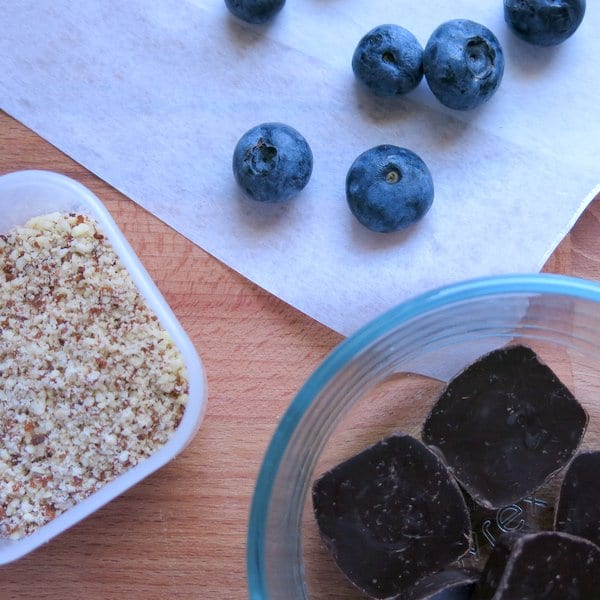 Dark Chocolate Covered Blueberries with Almond Dust The DinnerMom