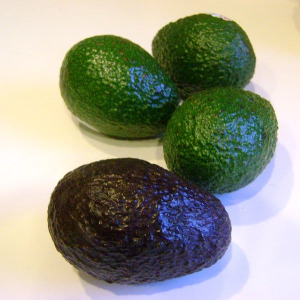 Hass Avocado