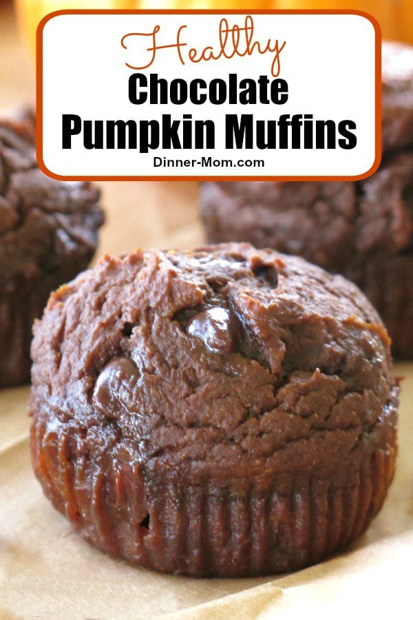 Healthy Chocolate Pumpkin Muffins are made with whole grains, no oil, extra protein, lots of pumpkin and are absolutely irresistible! A twist on our super popular whole wheat pumpkin muffin recipe! #pumpkin #muffins