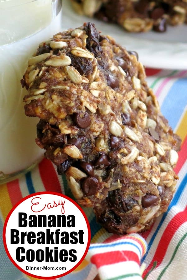 These easy-to-make Banana Breakfast Cookies are packed with as many wholesome ingredients as we could find and they just happen to be vegan and gluten-free too! #bananacookies #breakfastcookies