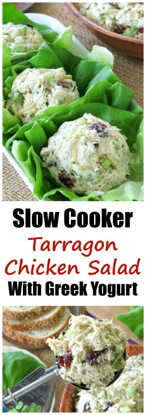 Slow Cooker Tarragon Chicken Salad - The Dinner-Mom