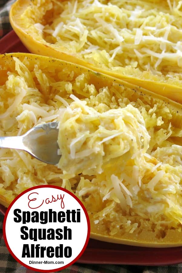 Spaghetti Squash Alfredo - Just 5 Ingredients! - The Dinner-Mom