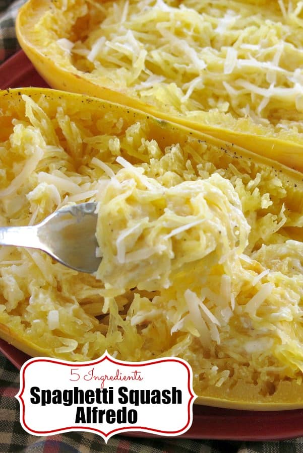 Spaghetti Squash Alfredo is lower-carb, gluten-free, healthy and easy to make with just 5 ingredients in this recipe. #spaghettisquash #lowcarbdiet #glutenfreediet