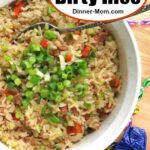 Easy Dirty Rice Pin