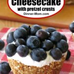 No Bake Cheesecake Recipe Pin