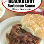 Slow Cooker Pork in Blackberry Barbecue Sauce