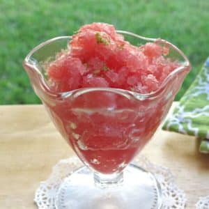 Watermelon Granita in cup with grass in background.