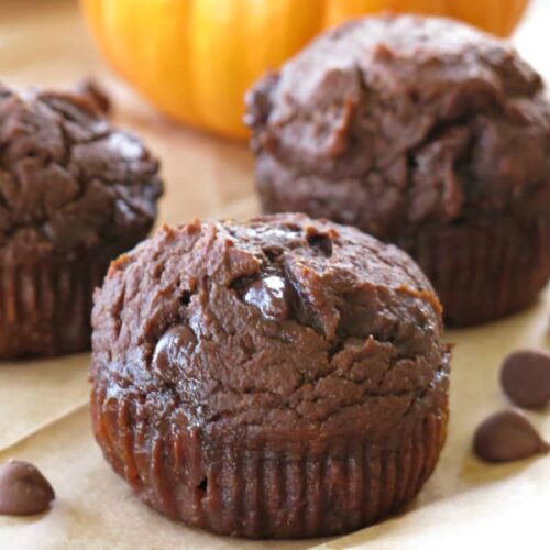 Close-up of healthy chocolate pumpkin muffin with 2 muffins and pumpkin in the background.
