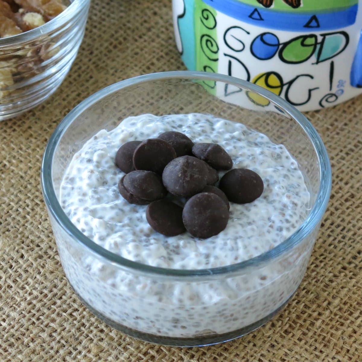 Overnight chia seed pudding in bowl topped with sugar-free chocolate chips