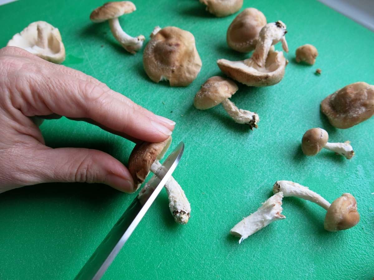 Hand holding knife cutting shiitake mushrooms.