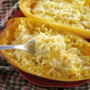 Fork lifting spaghetti squash alfredo out of gourd.