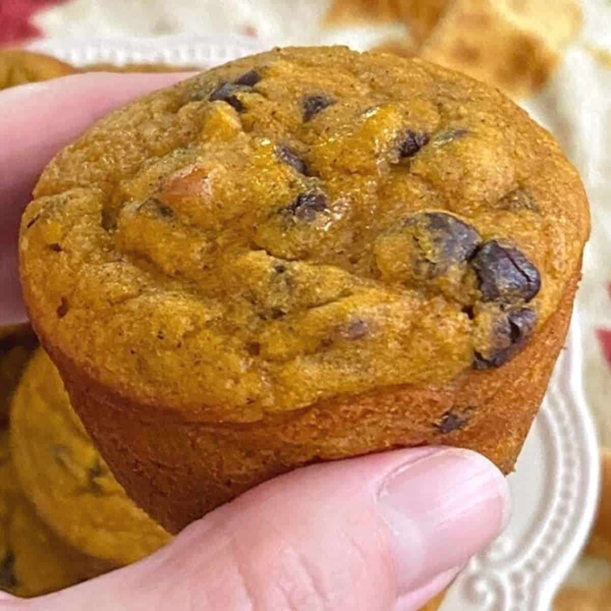 Hand holding a healthy Greek yogurt pumpkin muffin with chocolate chips.