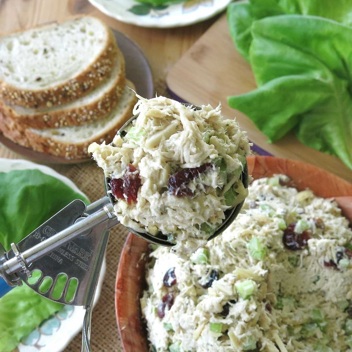 A scoop of Slow Cooker Chicken Salad with Greek Yogurt with lettuce leaves, bread and bowl of mixture below.