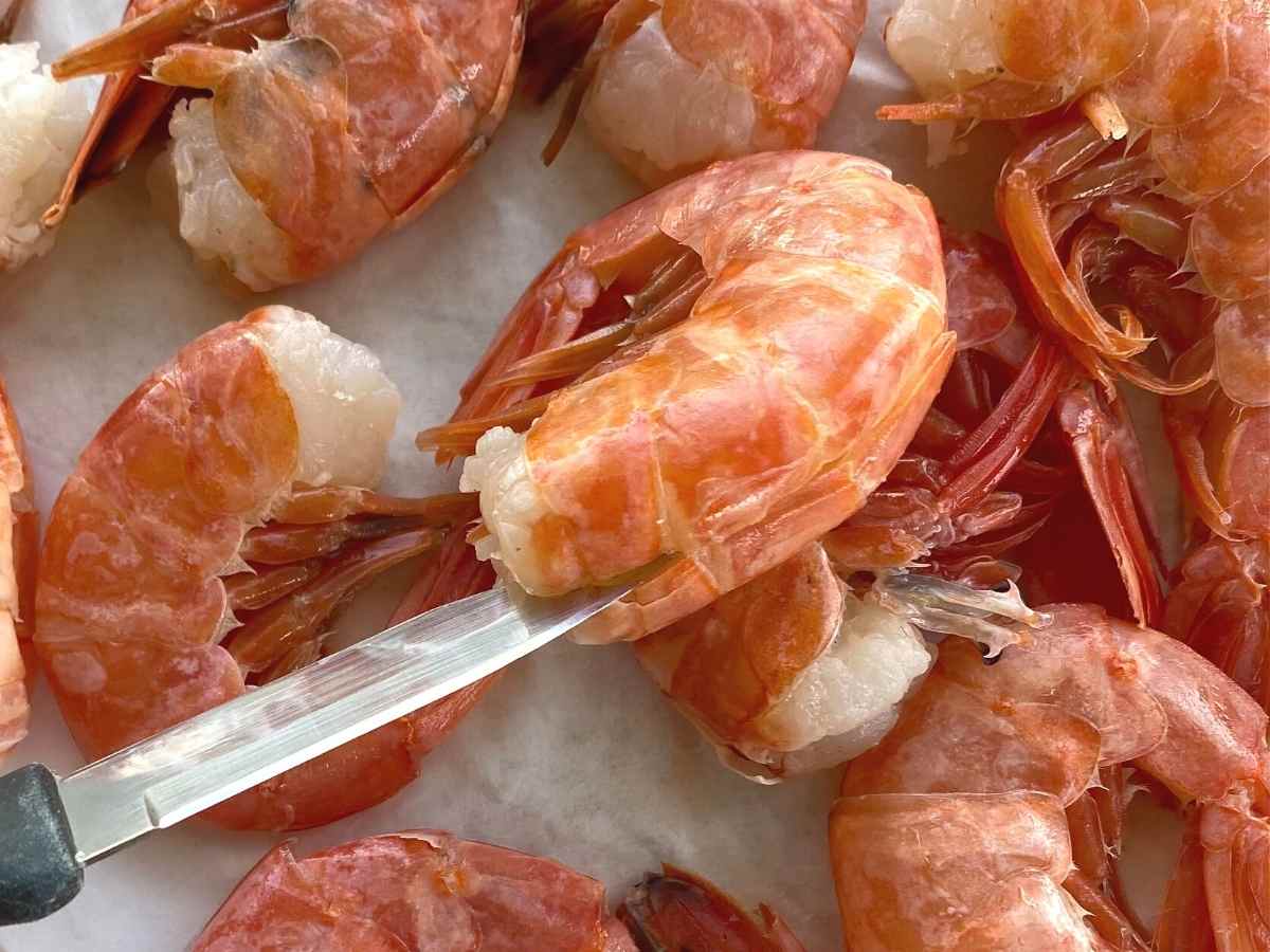 Paring knife inserted into the back of shelled wild red Argentine prawn.