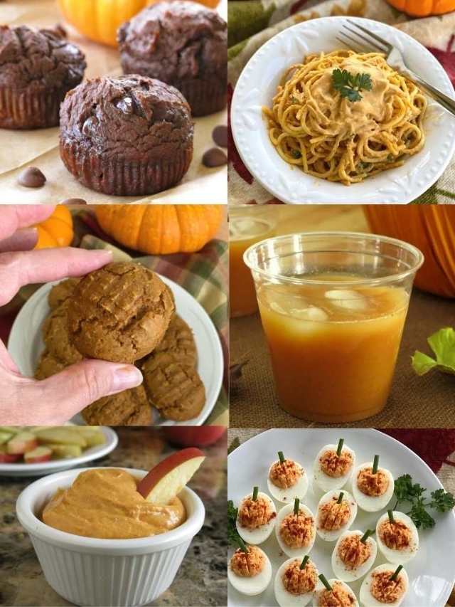 What to Make with Canned Pumpkin The DinnerMom