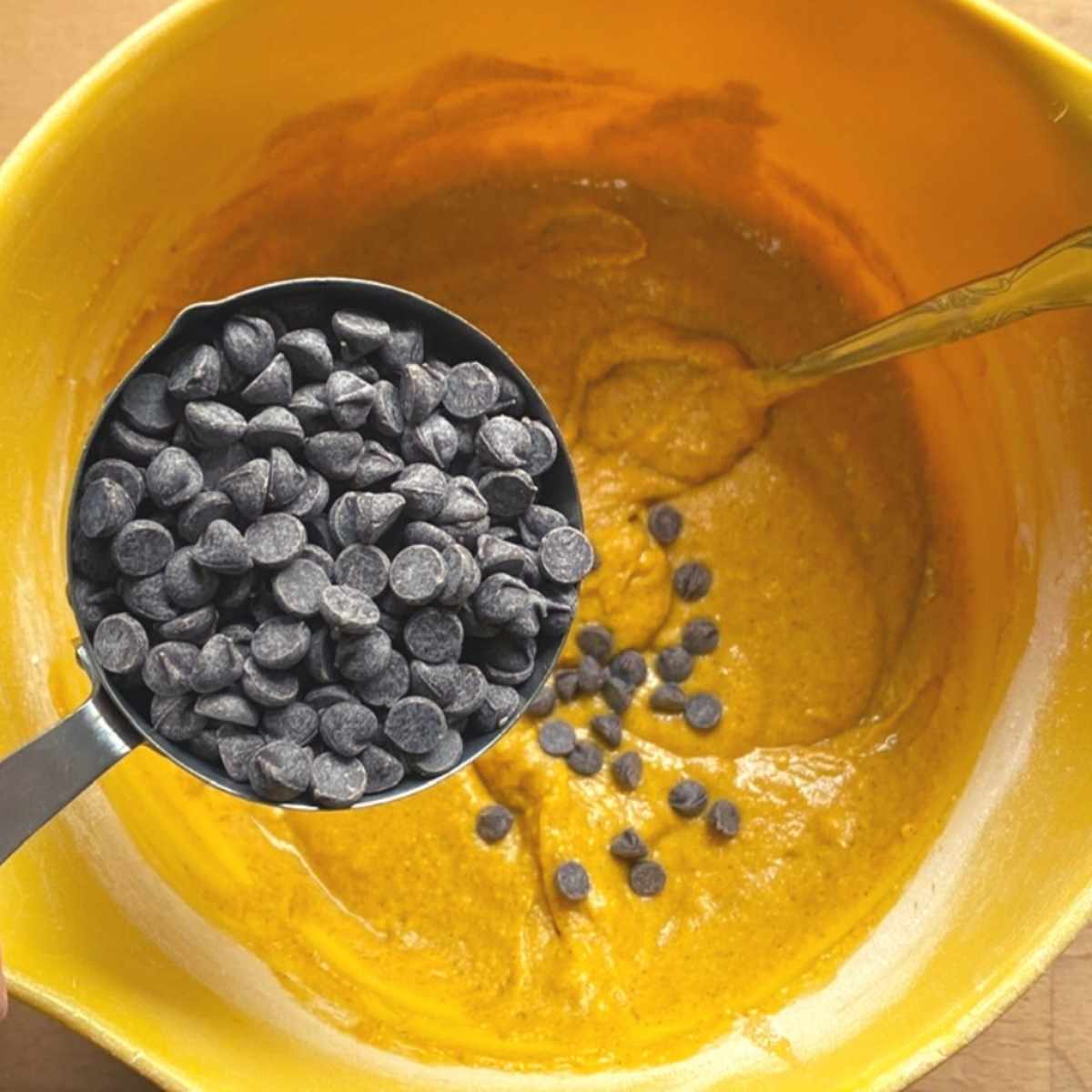 Folding mini chocolate chips into Greek yogurt pumpkin muffin batter.