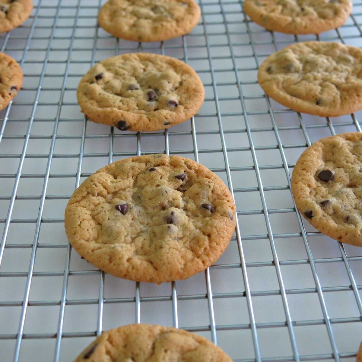 https://www.dinner-mom.com/wp-content/uploads/2021/11/Cookies-on-Cooling-Rack.jpg