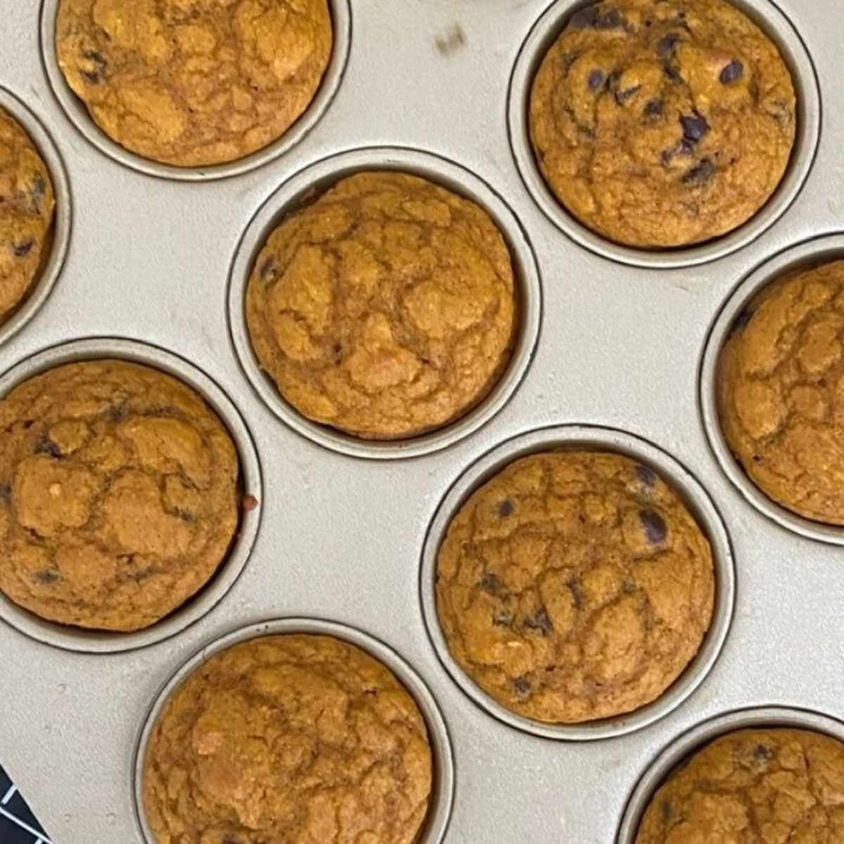 Baked Greek yogurt pumpkin muffins cooling in a muffin tin.