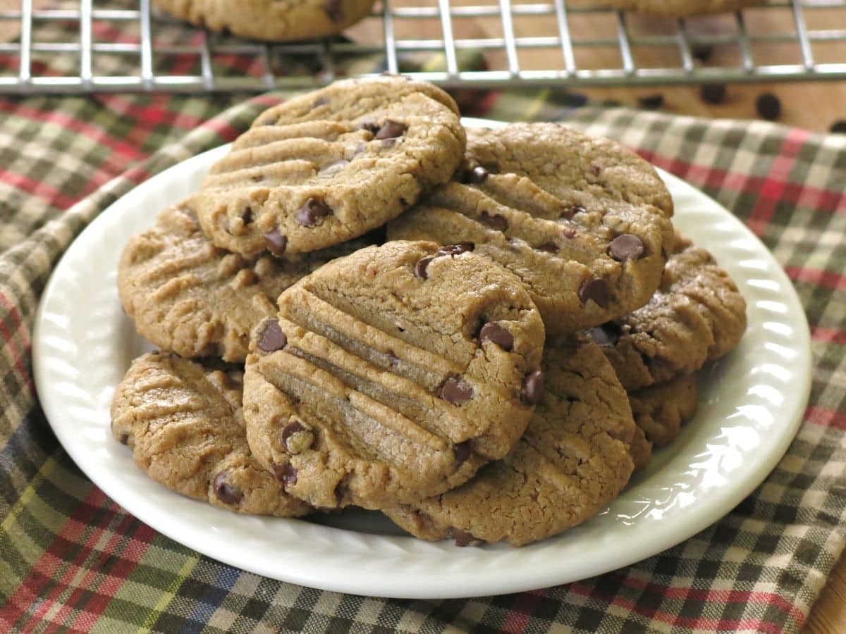 Plate of sunflower seed butter cookies.