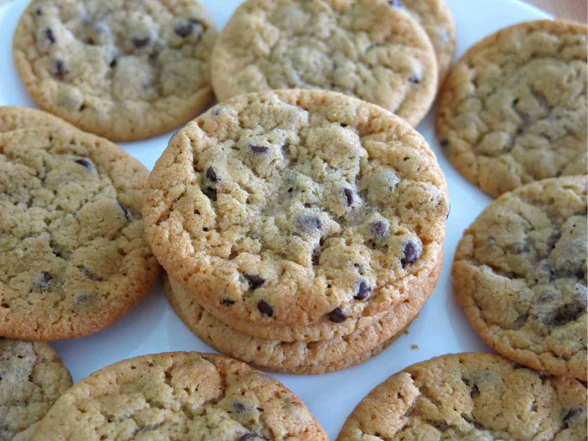 Many vegan chocolate chips cookies scattered on a plate.