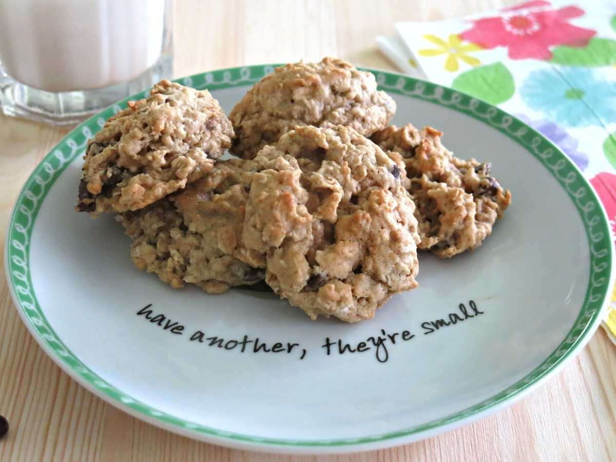 Vegan oatmeal chocolate chip cookies on a plate that says "have another, they're small."