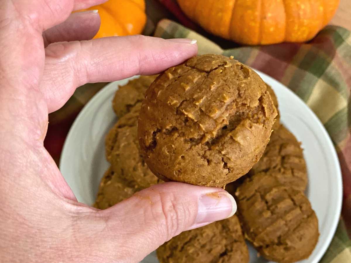 Hand holding up a vegan pumpkin cookie made with a can of pumpkin and a box of spice cake mix.