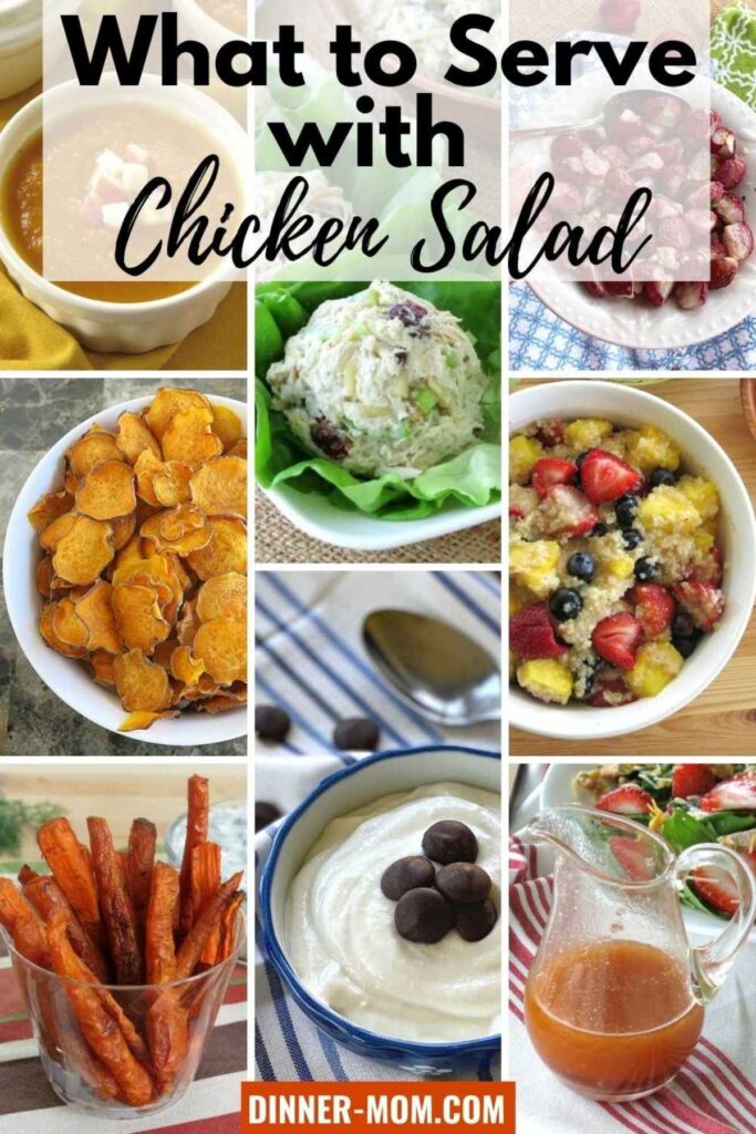 What to Serve With Chicken Salad 15 Healthy Side Dishes The DinnerMom