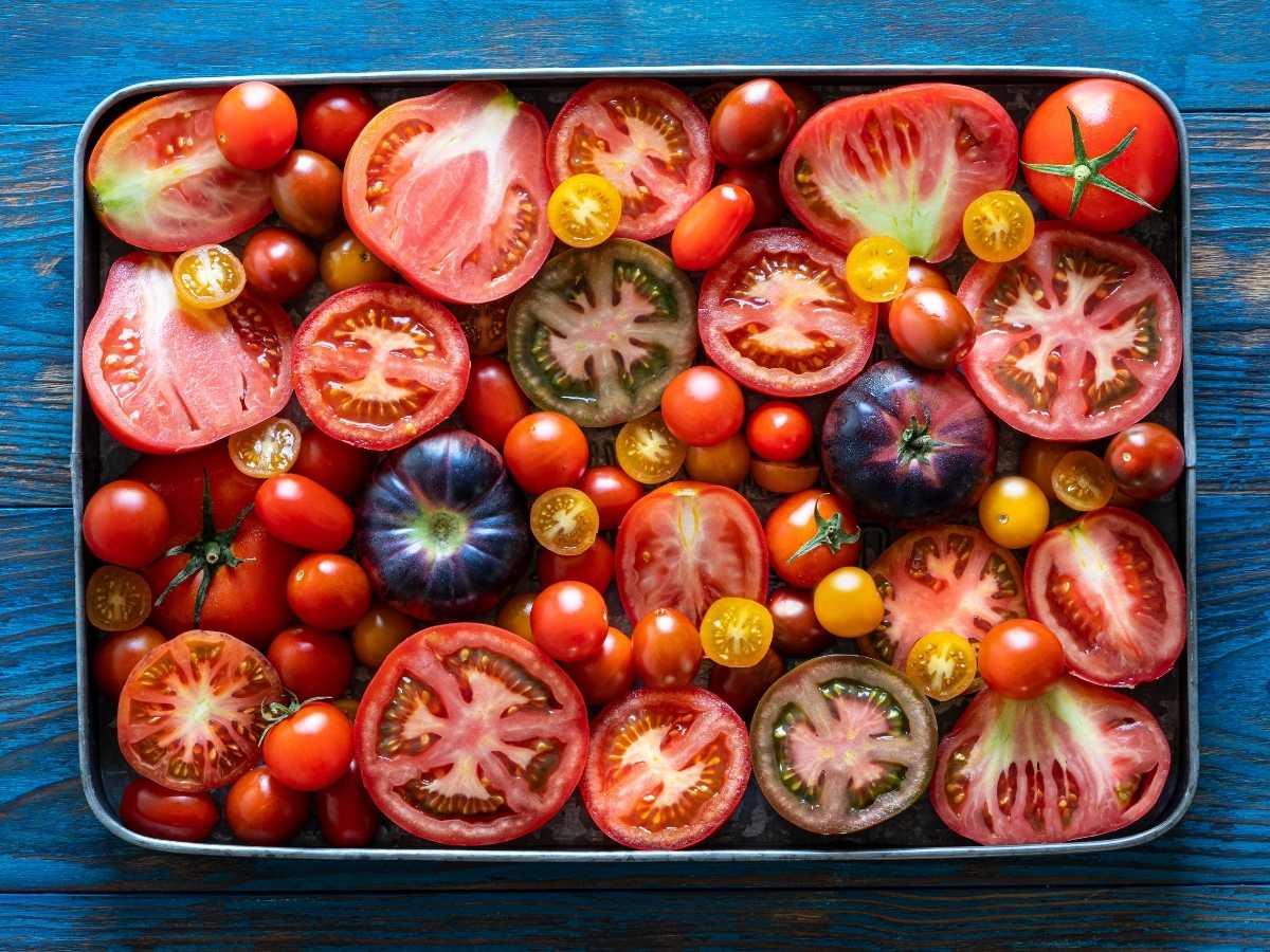 Platter of various types of tomatoes.