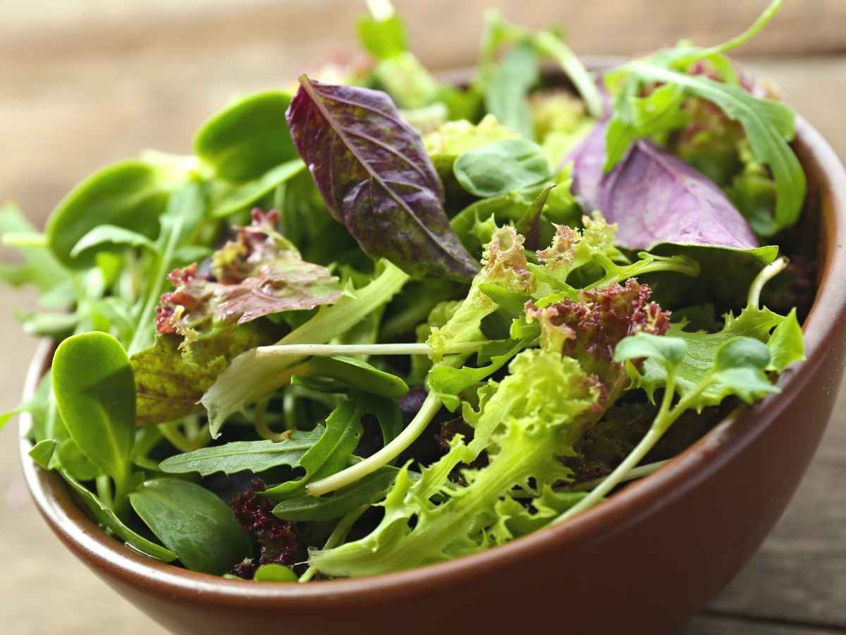 Mixed greens in a salad bowl.