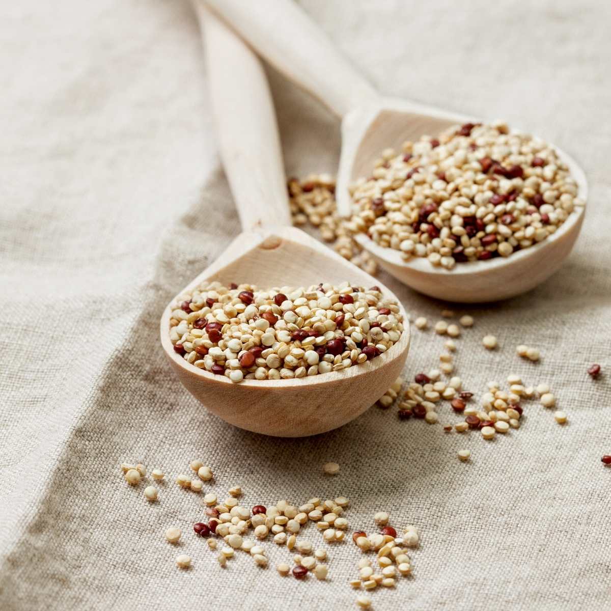 Uncooked quinoa on two wooden spoons.