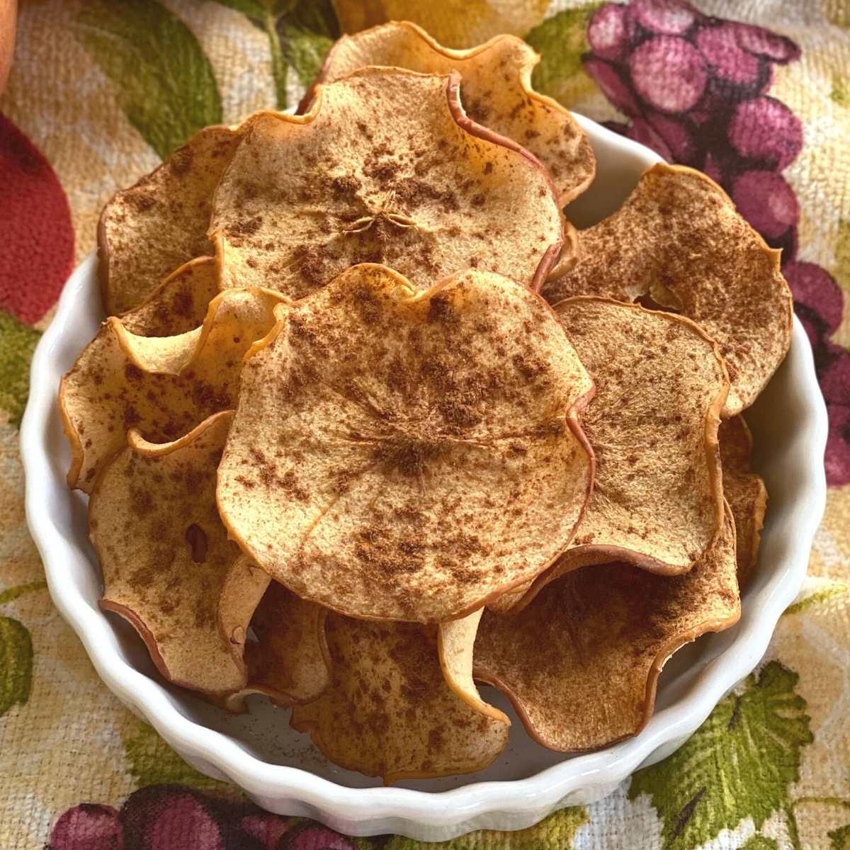 Oven-dried apple chips in a serving bowl.