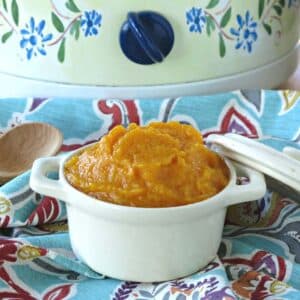 Pureed butternut squash in a bowl in front of a crock-pot.