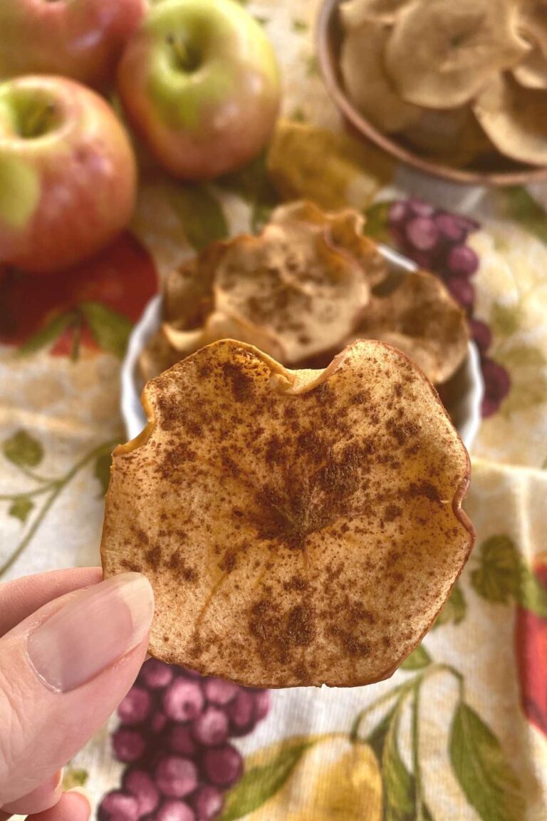Easy OvenDried Apple Chips Recipe The DinnerMom