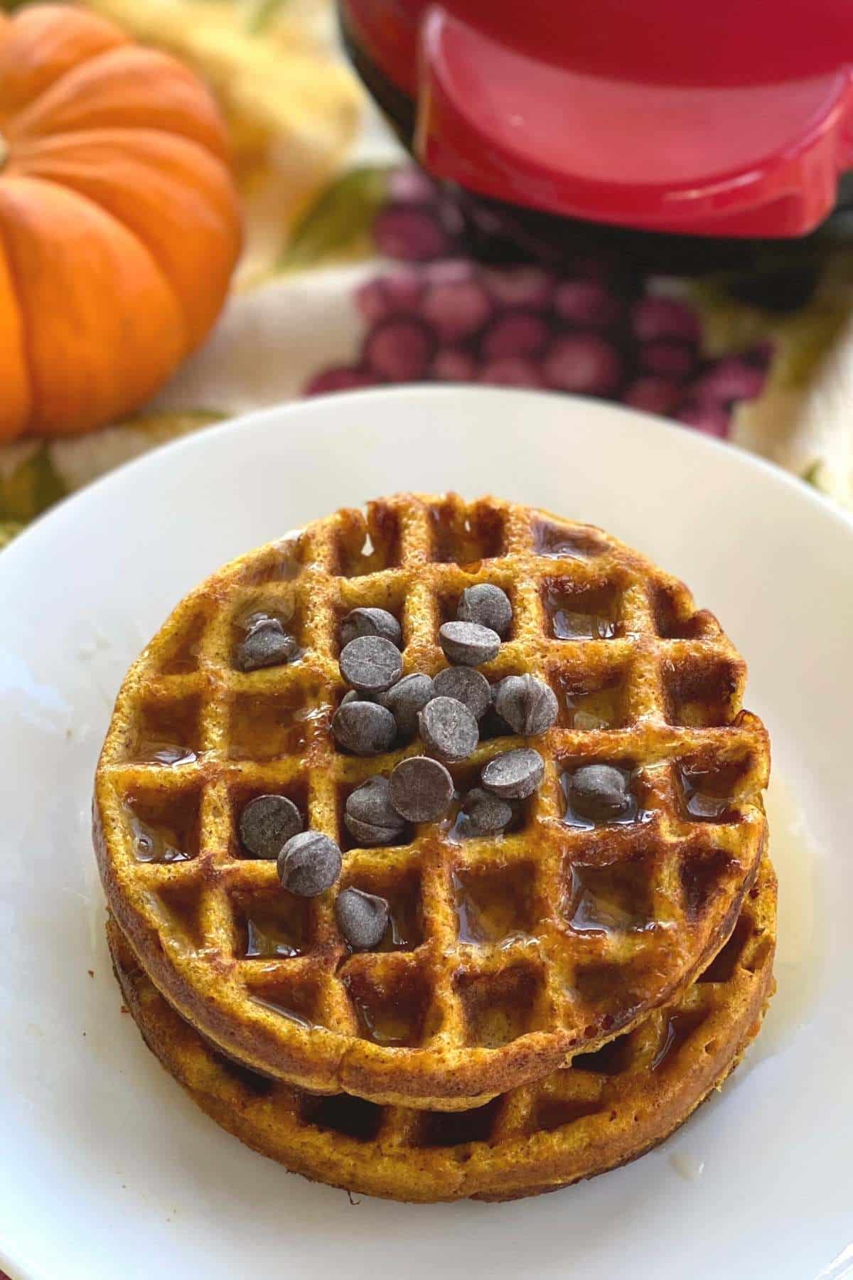 Two pumpkin chaffles made with cottage cheese and topped with chocolate chips stacked on a plate with a pumpkin and waffle maker behind them.